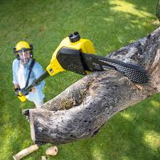 Seasonal Cleanup (Spring/Fall) in Wheaton, IL
