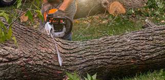 Lawn Drainage Solutions in Wheaton, IL